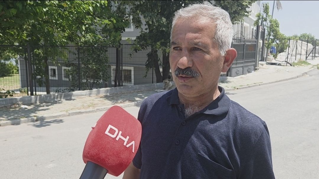 İstanbul'da 7 ilçede yılan tedirginliği! Havalar ısındı, yılanlar ortaya çıktı, her yerdeler 9