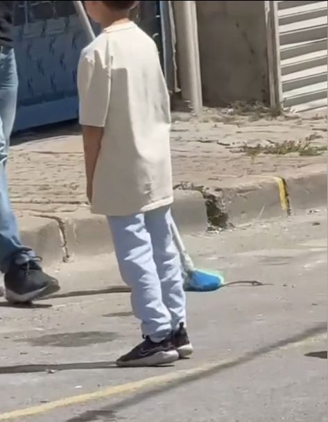 İstanbul'da 7 ilçede yılan tedirginliği! Havalar ısındı, yılanlar ortaya çıktı, her yerdeler 3