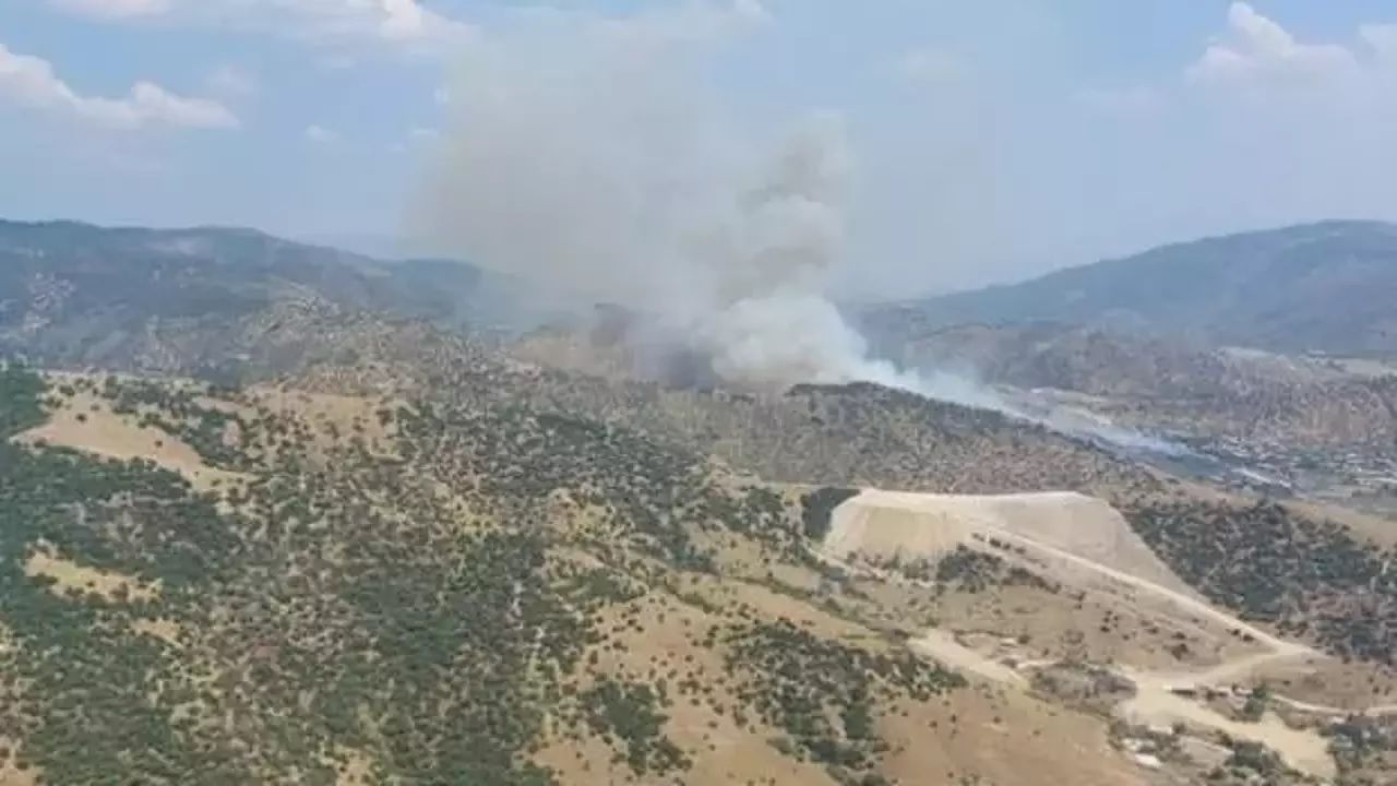 Aydın'da büyük orman yangını: Müdahale sabaha kadar sürecek 3