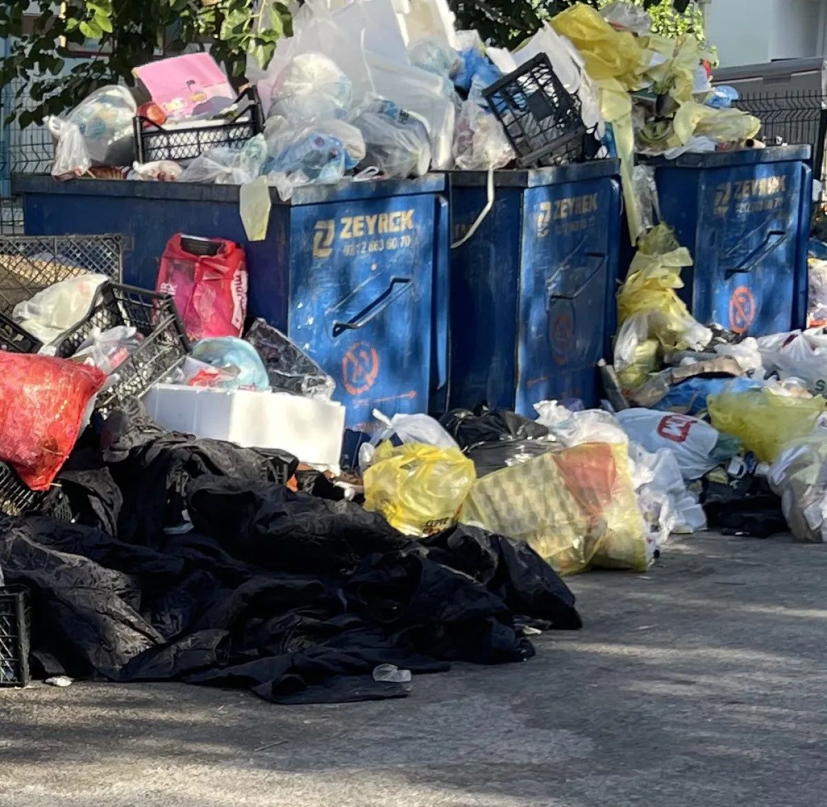 CHP'li Buca Belediyesi’nde grev krizi büyüyor: Çöpler toplanmıyor, mahalleleri kötü koku ve fareler sardı! 6