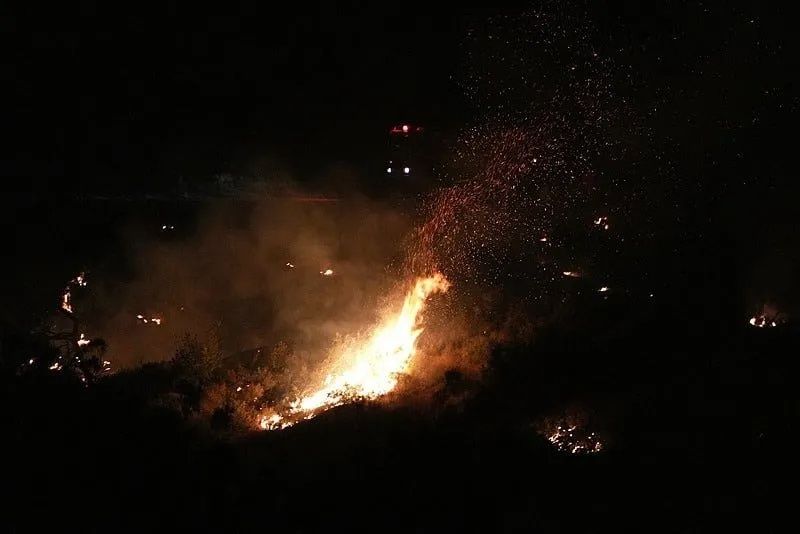 İzmir’de orman yangını ikinci gününde kontrol altına alındı! 550’den fazla vatandaş tahliye edildi, 175 ev boşaltıldı! 10