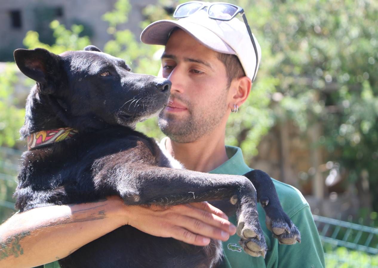 Şilili gezgin Diego Sebastian Haro Lopez ülkesinden bisikletle yola çıkıp köpeği Milo'yla 80 ülke gezdi 4