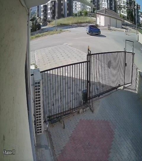 Bursa'da kangal dehşeti! Köpeğini gezdiren kadın paramparça ettiler; o anlar kamerada 7