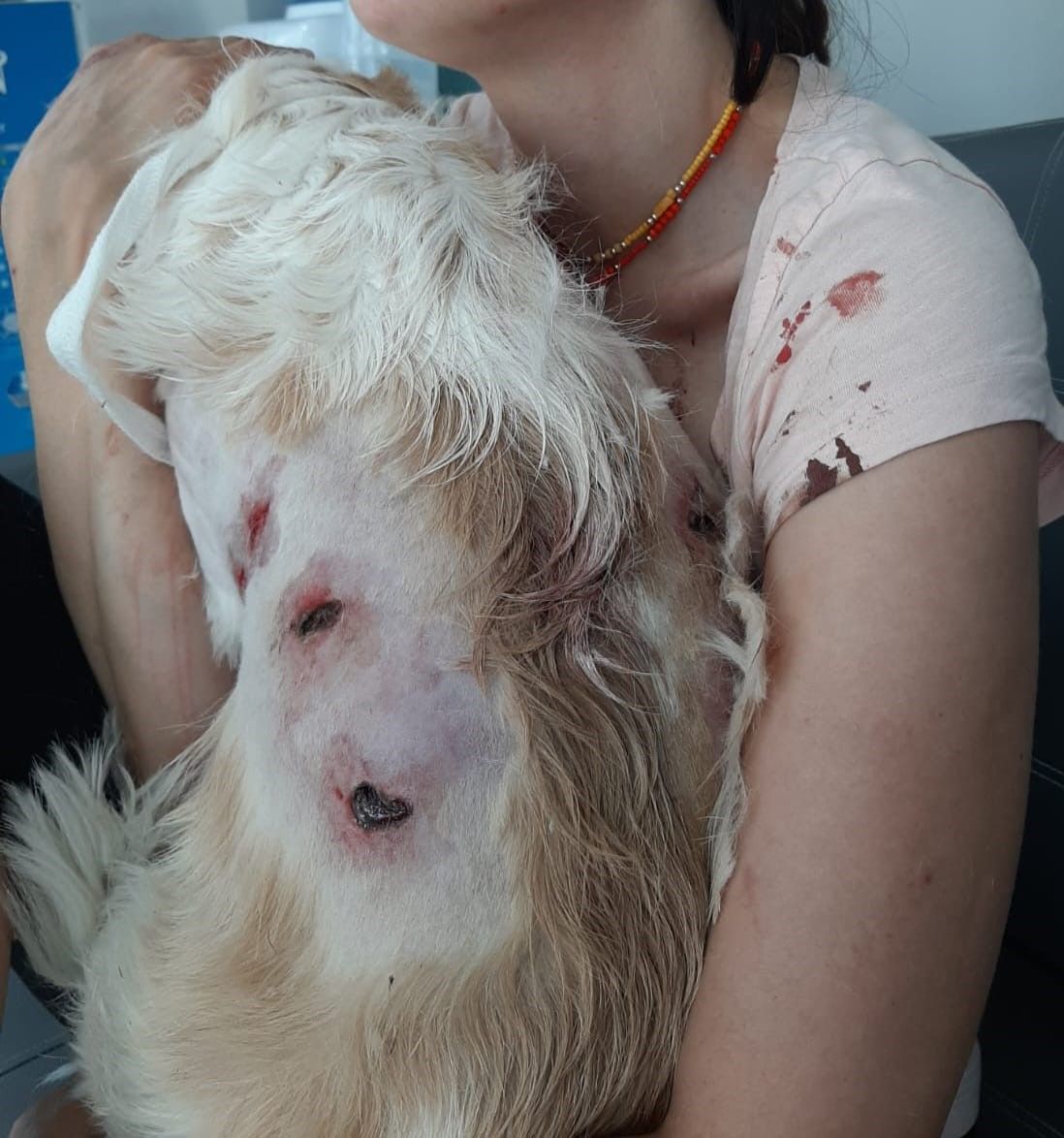 Bursa'da kangal dehşeti! Köpeğini gezdiren kadın paramparça ettiler; o anlar kamerada 4