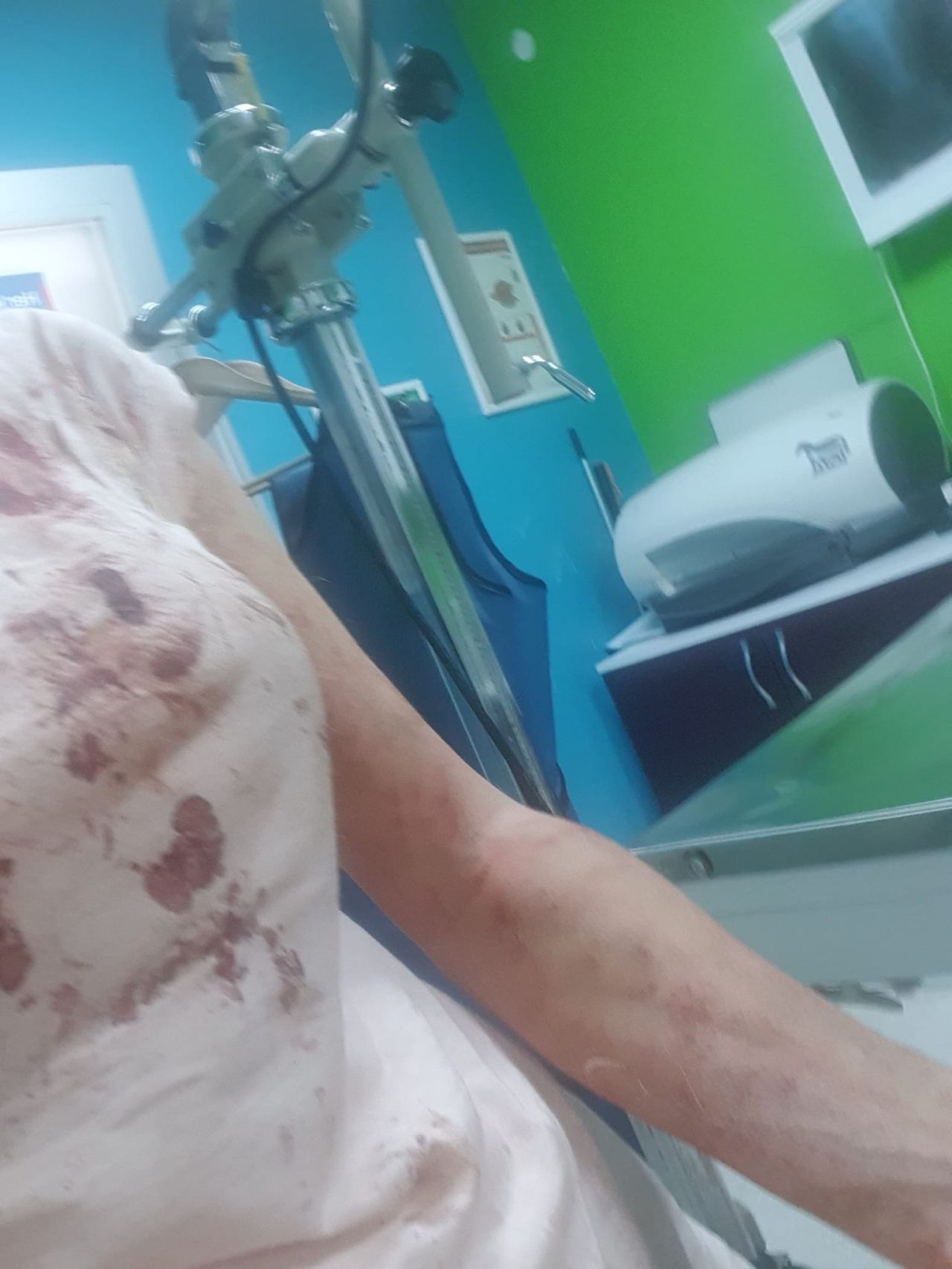 Bursa'da kangal dehşeti! Köpeğini gezdiren kadın paramparça ettiler; o anlar kamerada 3