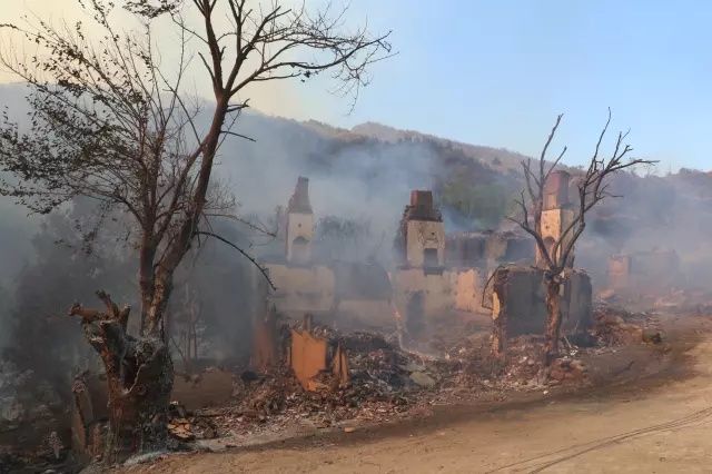 Türkiye’nin ciğerleri yanıyor: 150 orman yangını çıktı, Köprücek köyü küle döndü! 4