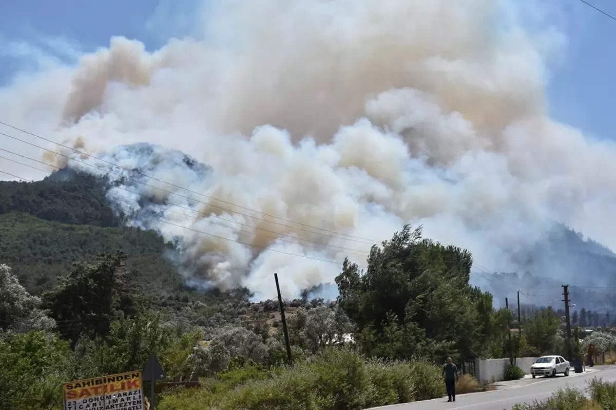 İzmir alev altında! Menderes–Seferihisar hattında orman yangını büyüyor 5