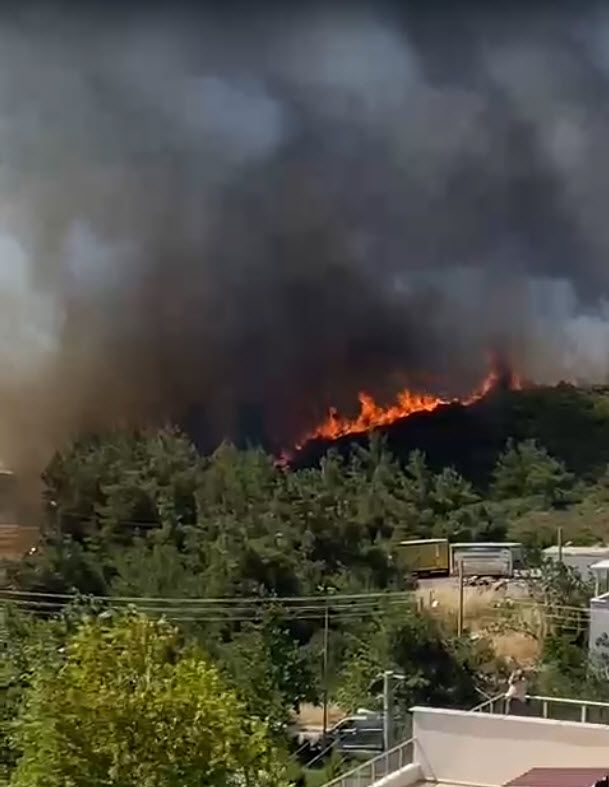 İzmir orman yangını büyüyor! Alevlerin ulaştığı 5 mahalle tahliye edildi 6