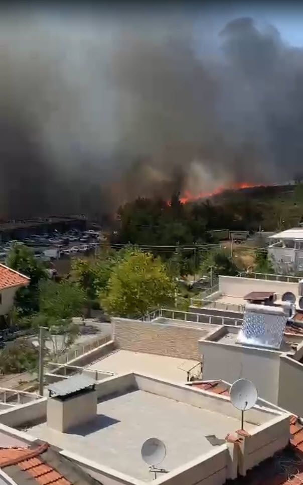 İzmir orman yangını büyüyor! Alevlerin ulaştığı 5 mahalle tahliye edildi 5