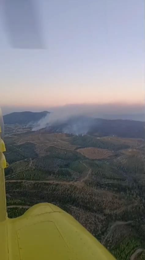 İzmir’de alevlerin gölgesinde ikinci gün: Yangın kabusu sürüyor, onlarca ev kül oldu! 6