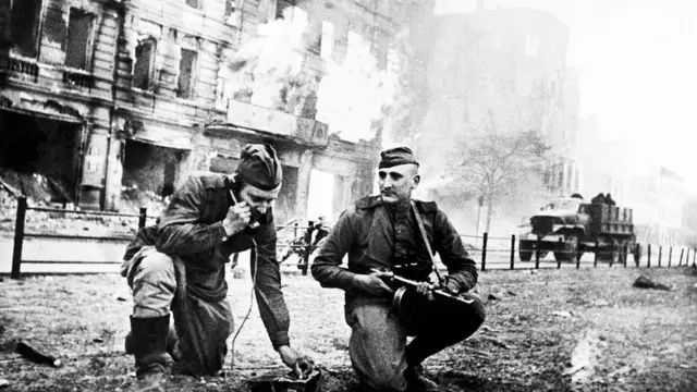 Biyolojik saldırı altında olabiliriz: Orman yangınlarının yarattığı canavar keneler 10
