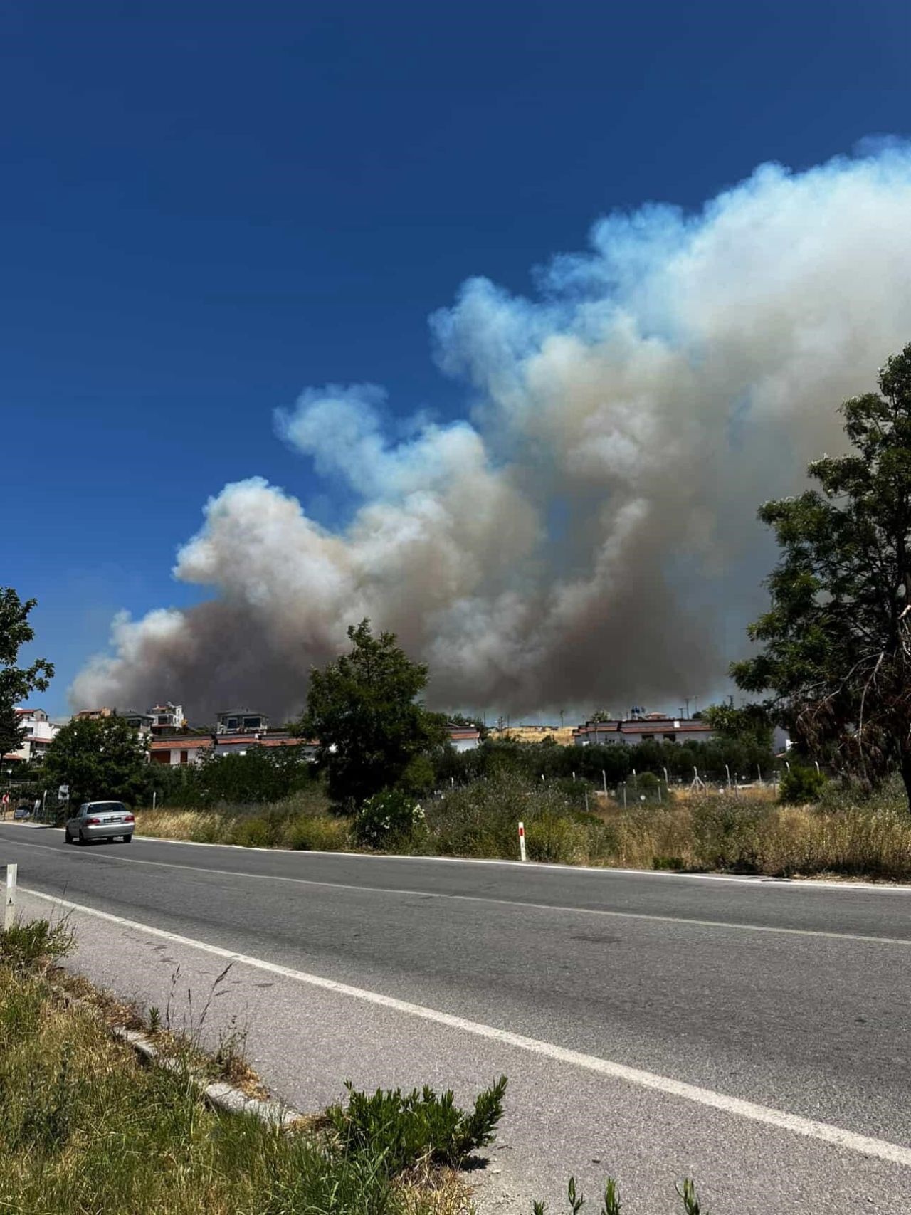 Çeşme'de yangın büyüdü, yazlık evler tahliye edildi, 5 uçak ve 18 helikopterle müdahale sürüyor 7