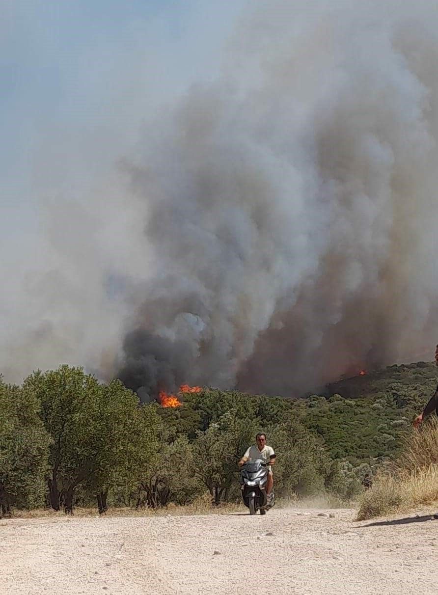 Çeşme'de yangın büyüdü, yazlık evler tahliye edildi, 5 uçak ve 18 helikopterle müdahale sürüyor 2