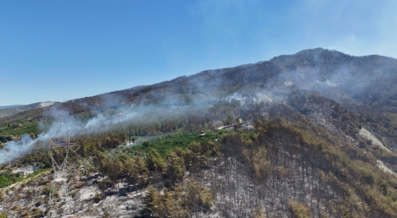 Yangınlarda son durum: Muğla Milas ve Saruhanlı'da alevler kontrol altında 7