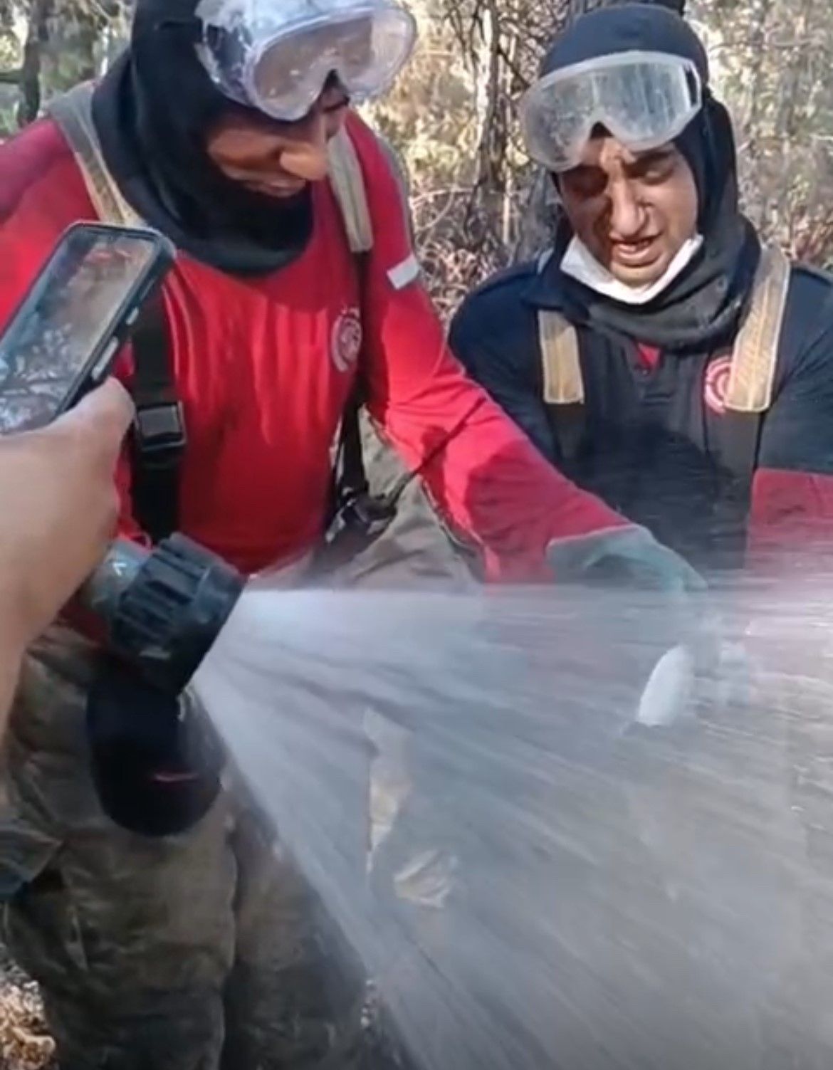 Yangınlarda son durum: Muğla Milas ve Saruhanlı'da alevler kontrol altında 5