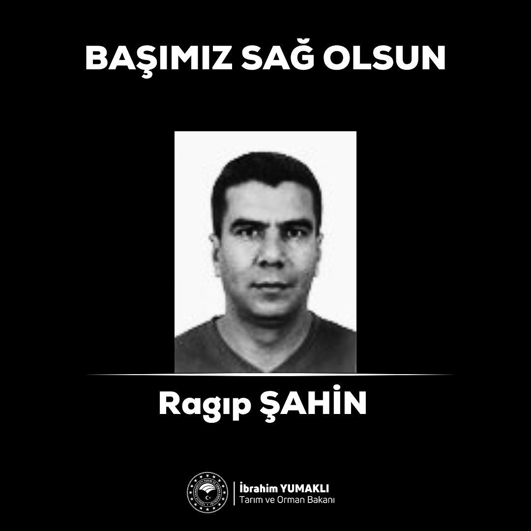 Yangınlarda son durum: Muğla Milas ve Saruhanlı'da alevler kontrol altında 4