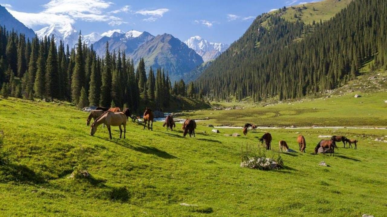 Büyük yangın travmamız! Tarihte ilk itfaiye teşkilatını neden Türkler kurdu? 2