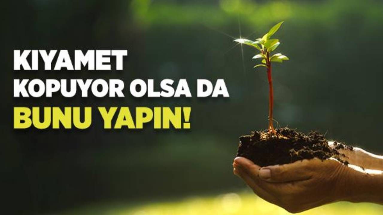 Büyük yangın travmamız! Tarihte ilk itfaiye teşkilatını neden Türkler kurdu? 1