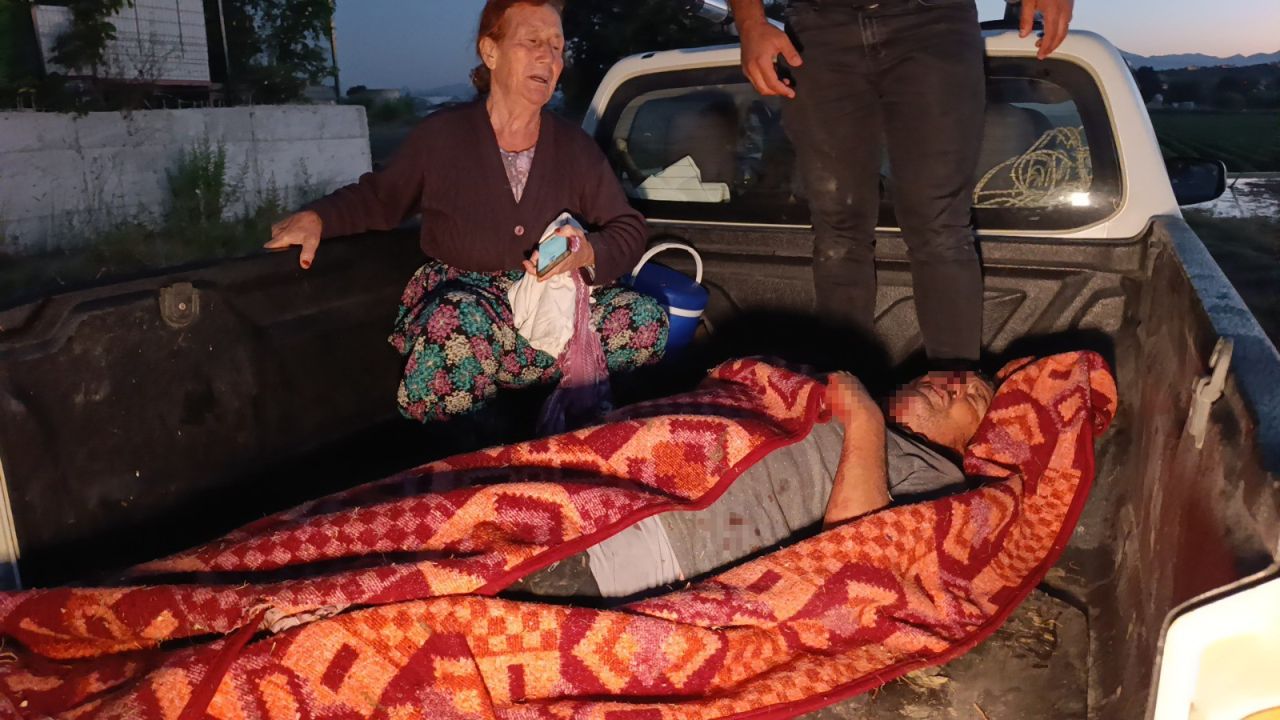 Manavgat'ta aslan paniği! Zeus isimli aslan hayvan parkından kaçıp bir kişiyi yaraladı, tüfekle vurdular 7