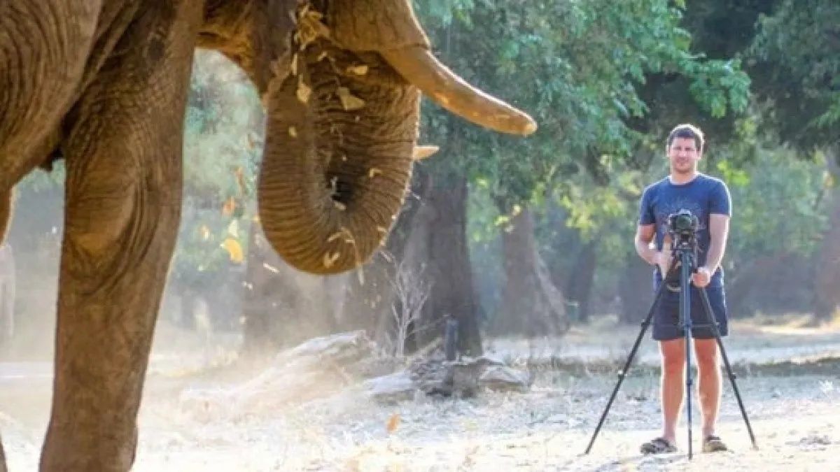 Güney Afrika’da altı tonluk bir filin saldırısına uğrayan CEO hayatını kaybetti! 3