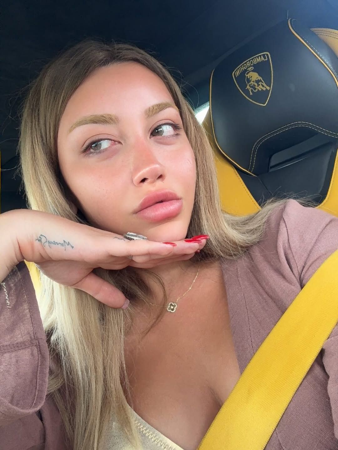 Mika Raun'un sevgilisi Bodrum'da ortalığı birbirine kattı! Eğlence mekanında anonscuya yumruklarla saldırdı! 2