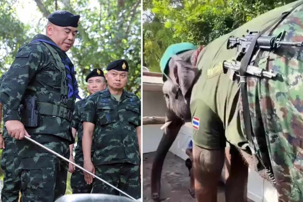 Tayland-Kamboçya sınırında çatışmalar tırmanıyor: Can kaybı 32’ye çıktı, Tayland ordusu sınıra fil gönderdi 1