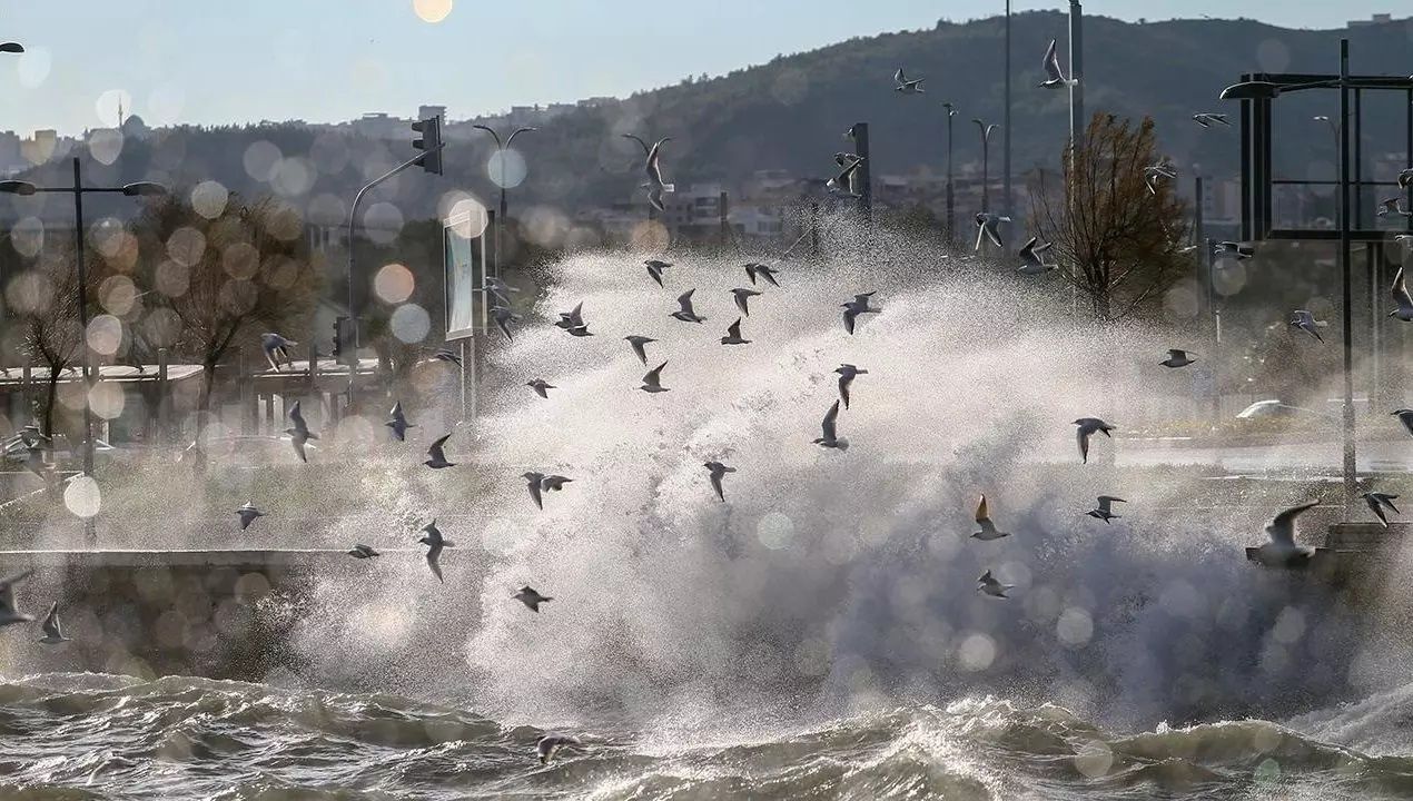 Şemsiyesiz evden çıkmayın: İstanbul güne sağanakla uyandı! Meteoroloji gün verip uyardı: Daha şiddetlisi geliyor! 4