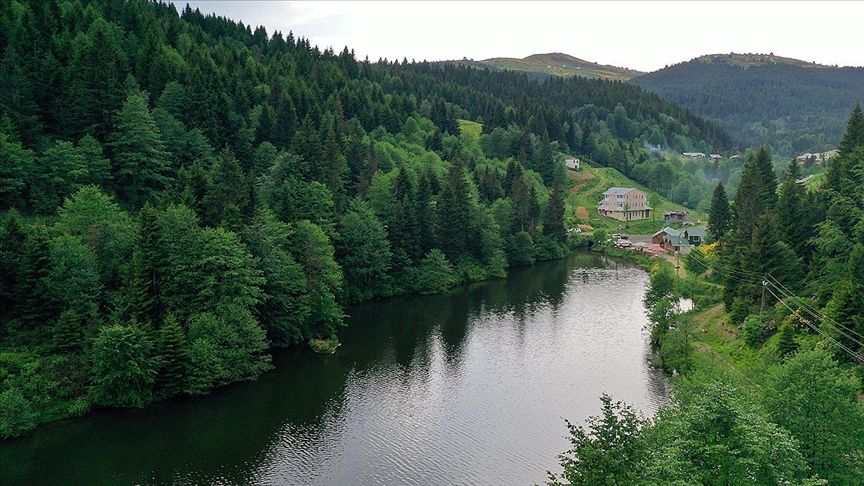 Yeşilin ve mavinin buluşması noktası Karadeniz'de gezilecek yerler 1