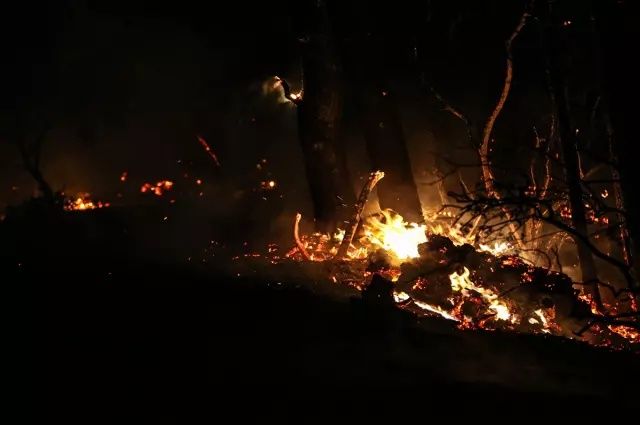 Çanakkale'de kabus sürüyor... Fırtına gibi esen rüzgar alevleri taşıdı, 5 köy boşaltıldı! 5