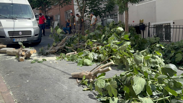 İstanbul'u fırtına vurdu: Ağaçlar devrildi, yaralılar var! Gülhane Parkı kapatıldı 3
