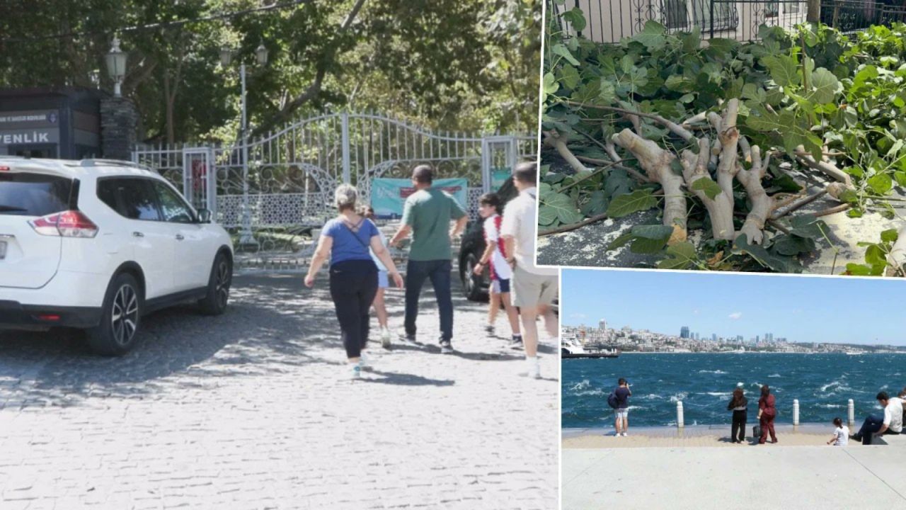 İstanbul'u fırtına vurdu: Ağaçlar devrildi, yaralılar var! Gülhane Parkı kapatıldı 1