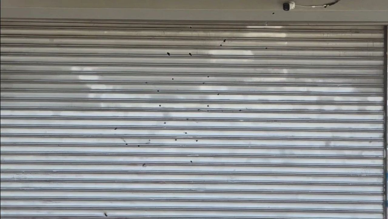 "Size beyaz eşya alacağım" dedi! Eski eşinin dükkanını 14 yaşındaki çocuklara kurşunlattı 7