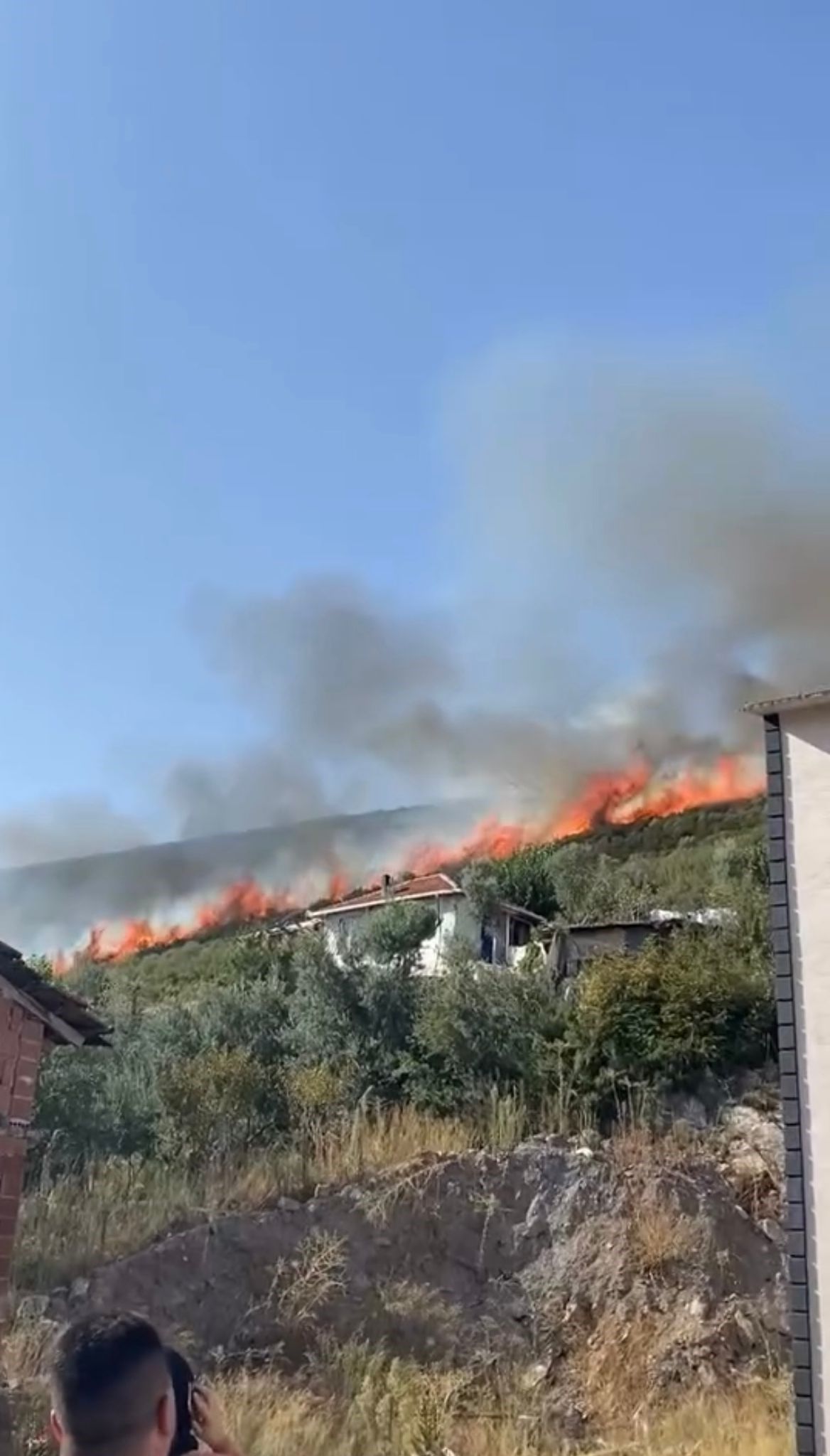 Alevler ülkeyi sardı! Çanakkale, Muğla, İzmir, Bursa ve Malatya alarmda! 1
