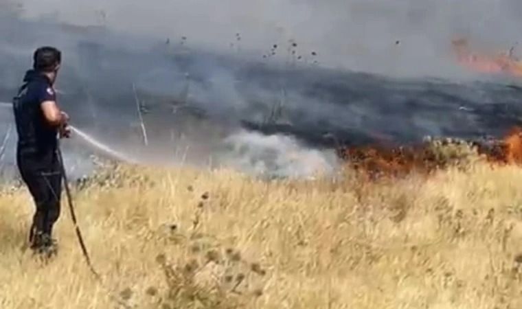 Alevler ülkeyi sardı! Çanakkale, Muğla, İzmir, Bursa ve Malatya alarmda! 4