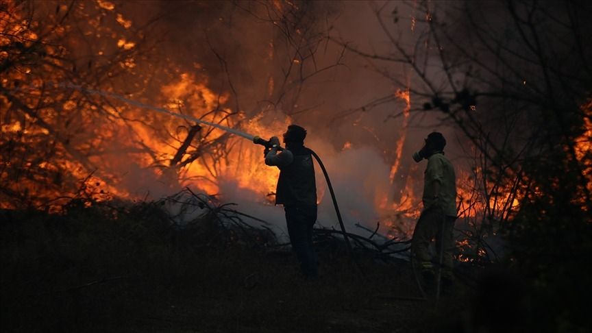 Alevler ülkeyi sardı! Çanakkale, Muğla, İzmir, Bursa ve Malatya alarmda! 6