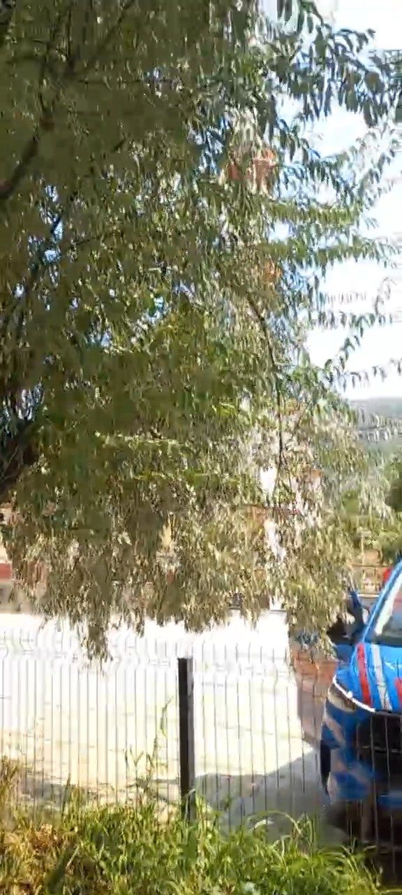 Bursa'da orman yangını! Alevler mahalle sınırına ulaştı... Kara yolu trafiğe kapatıldı! Camiden anons yapılıp vatandaşlar uyarıldı 3