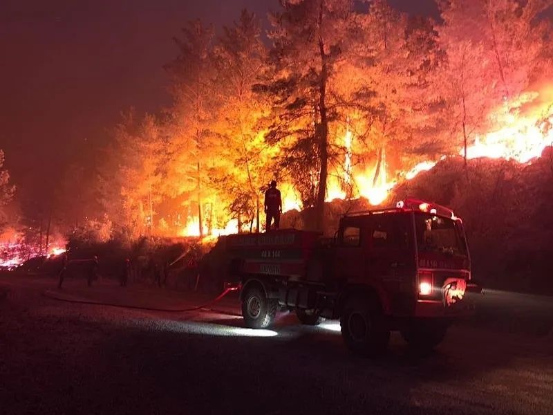 Alevler ev ve seralara sıçradı! Mahalleler boşaltıldı... Antalya, Aydın ve Muğla’da orman yangınları! Alevlere karşı canhıraş mücadele... 2