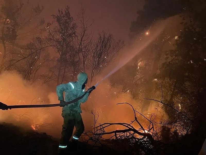 Alevler ev ve seralara sıçradı! Mahalleler boşaltıldı... Antalya, Aydın ve Muğla’da orman yangınları! Alevlere karşı canhıraş mücadele... 3