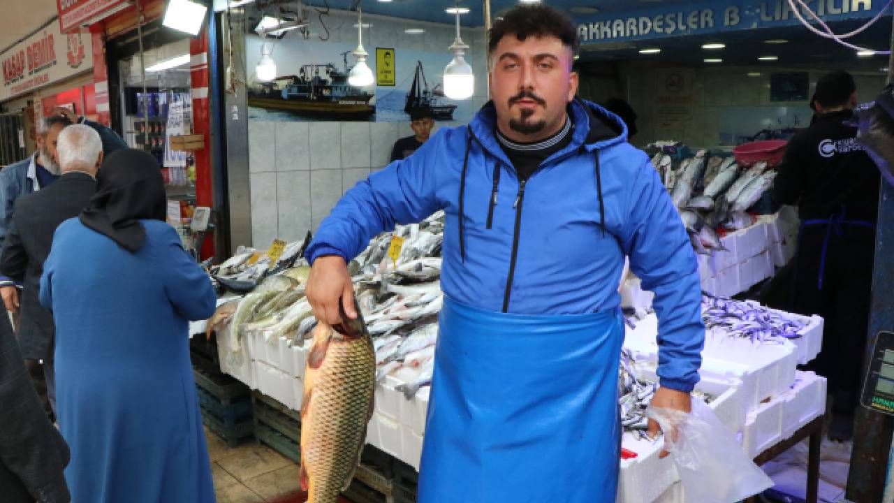 Tezgahlarda balık çeşidi arttı; Karadeniz hamsisi de yolda 2