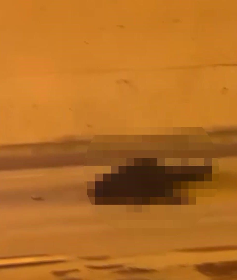 Kardeş cinayeti hesabı! Akrabasını silahla vurdu, yerde tekmeledi 5