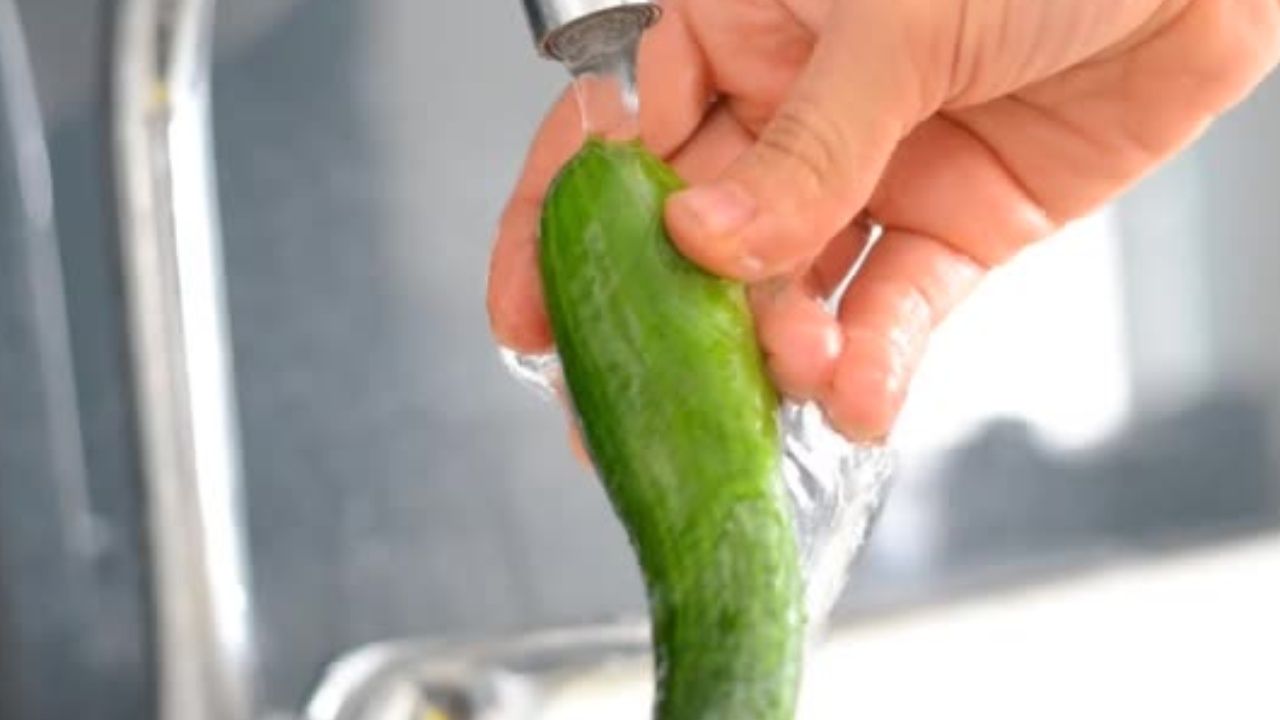 Buruşmuş salatalık ve biberleri kayış gibi yapmanın sırrı; Jalapeno biberde anına işe yarıyor 2