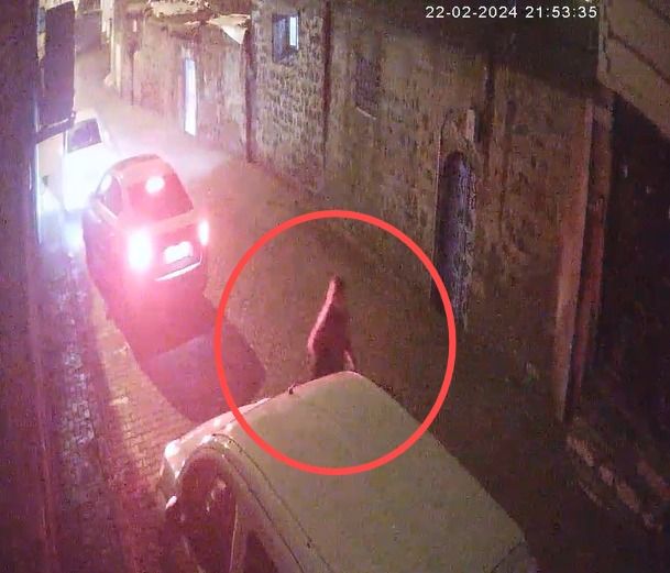 Adli raporlar kararı değiştirdi! Pınar Bulunmaz davasında flaş gelişme: Eşi yeniden tutuklandı 4