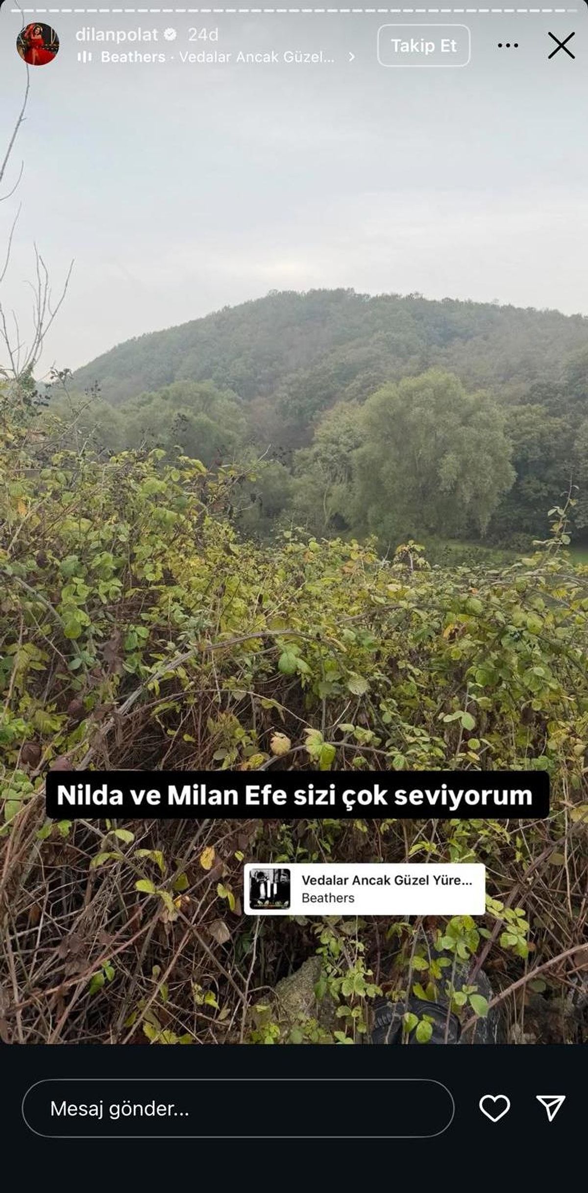 Veda paylaşımı korkutmuştu! Dilan Polat, intihar etmeye kalkıştı! FSM köprüsünde korkuluklardan atlayacakken Engin Polat yetişti 5