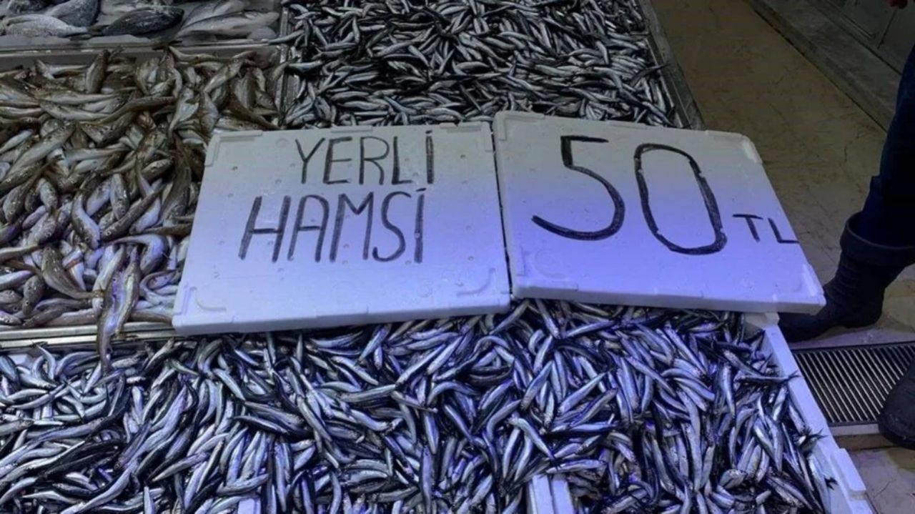 Hamsi bolluğu! Kilosu 50 TL'ye kadar düştü, tezgah önünde kuyruklar oluşuyor 4