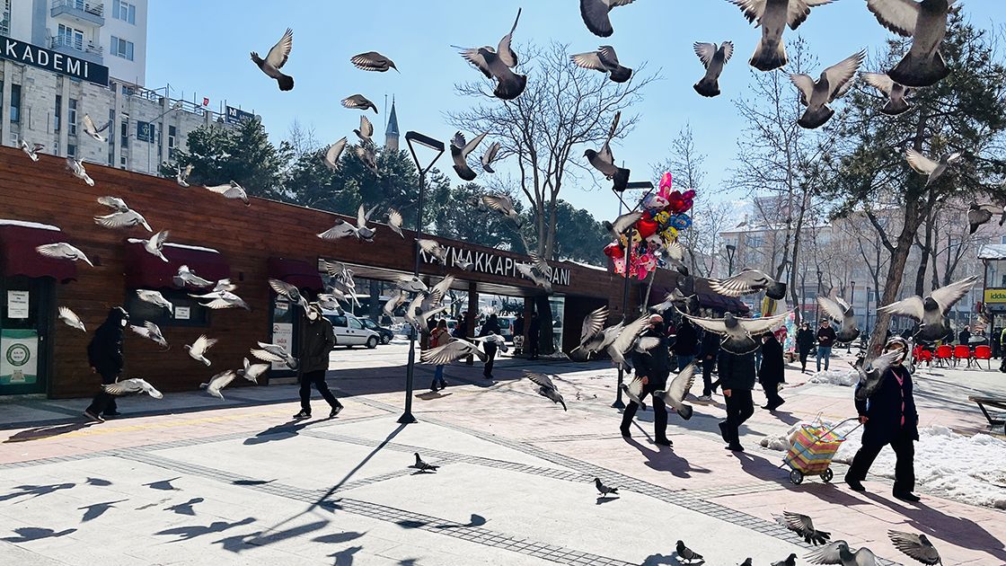 Marmara, Ege ve Akdeniz bölgelerinde zemini sağlam olan şehirler; AFAD ve Mapelse fikir birliği yapıyor 12