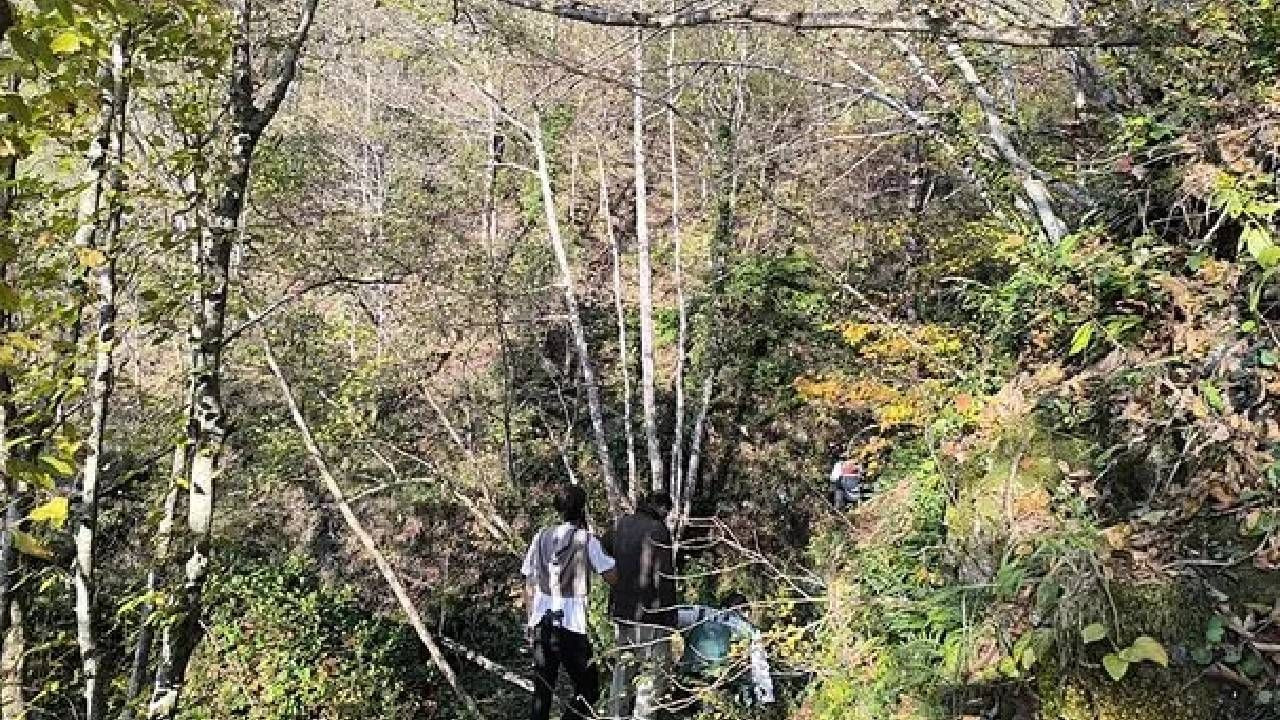 Kastamonu Bozkurt’ta Huriye Helvacı ile oğlu Osman’ın cansız bedeni böyle bulundu: Kuzgun kuşları göstermiş 4
