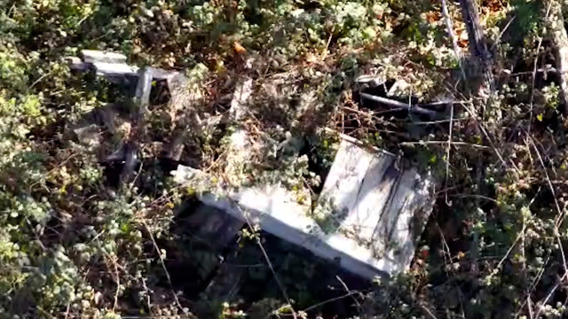Kastamonu'da ölü olarak bulunan anne Huriye Helvacı neden çırılçıplaktı? Bozkurt’taki gizemli ölümde yeni detaylar... 6