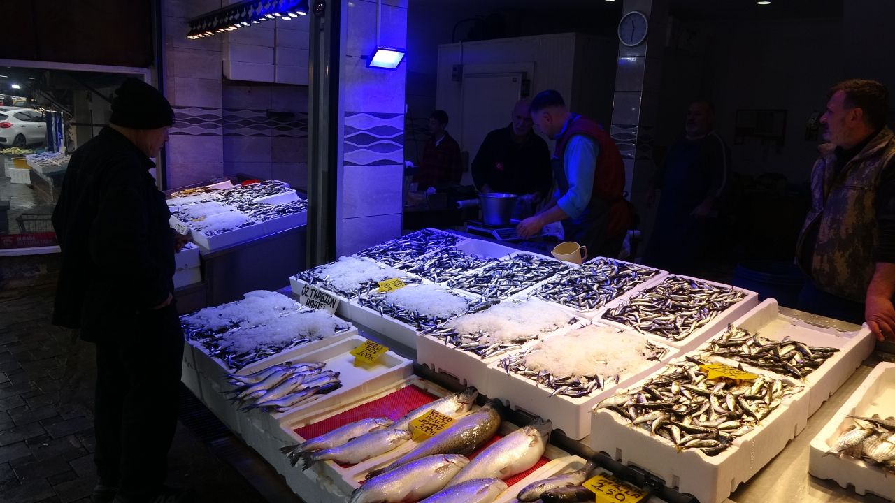 Karadeniz'de hamsi bereketi: Tezgahlar doldu kilosu 50 TL'ye düştü! 1