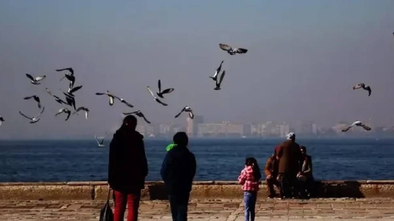 Kasımda yaz günleri yaşanıyor! Türkiye’de pastırma sıcakları: Termometreler 31 dereceyi görecek 3