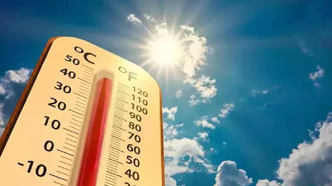Kasımda yaz günleri yaşanıyor! Türkiye’de pastırma sıcakları: Termometreler 31 dereceyi görecek 6